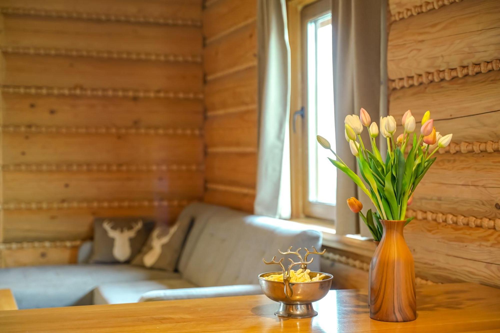 Zloty Gron Log Houses & Apartments Istebna Exterior foto